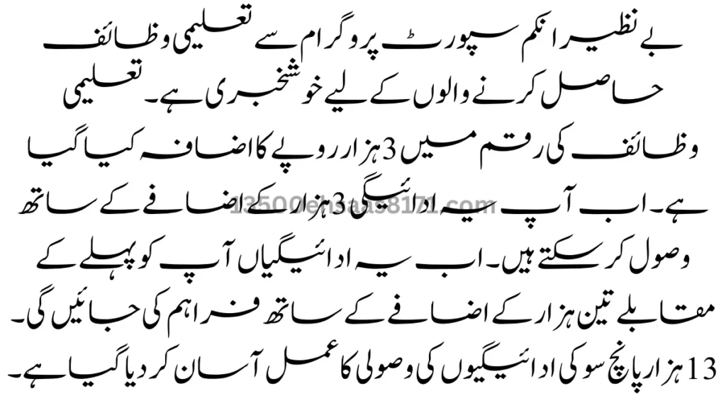 بے نظیر انکم سپورٹ پروگرام پاکستان میں غربت کو کم کرنے کے لیے ایک وفاقی غیر مشروط نقد پروگرام ہے۔ اس پروگرام کو BISP 8171 پروگرام کہا جاتا ہے۔