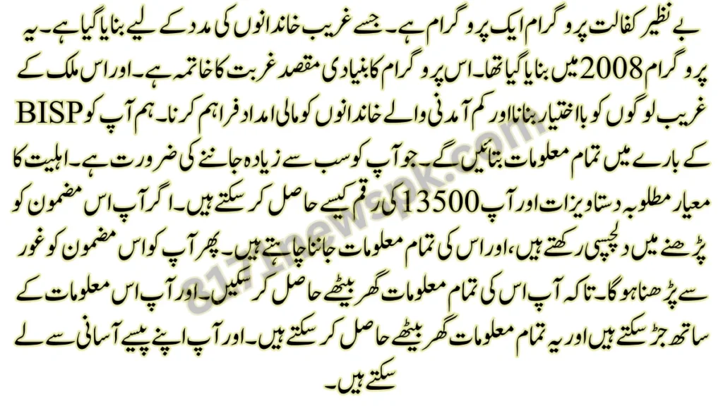 بے نظیر کفالت پروگرام ایک پروگرام ہے۔ جسے غریب خاندانوں کی مدد کے لیے بنایا گیا ہے۔ یہ پروگرام 2008 میں بنایا گیا تھا۔