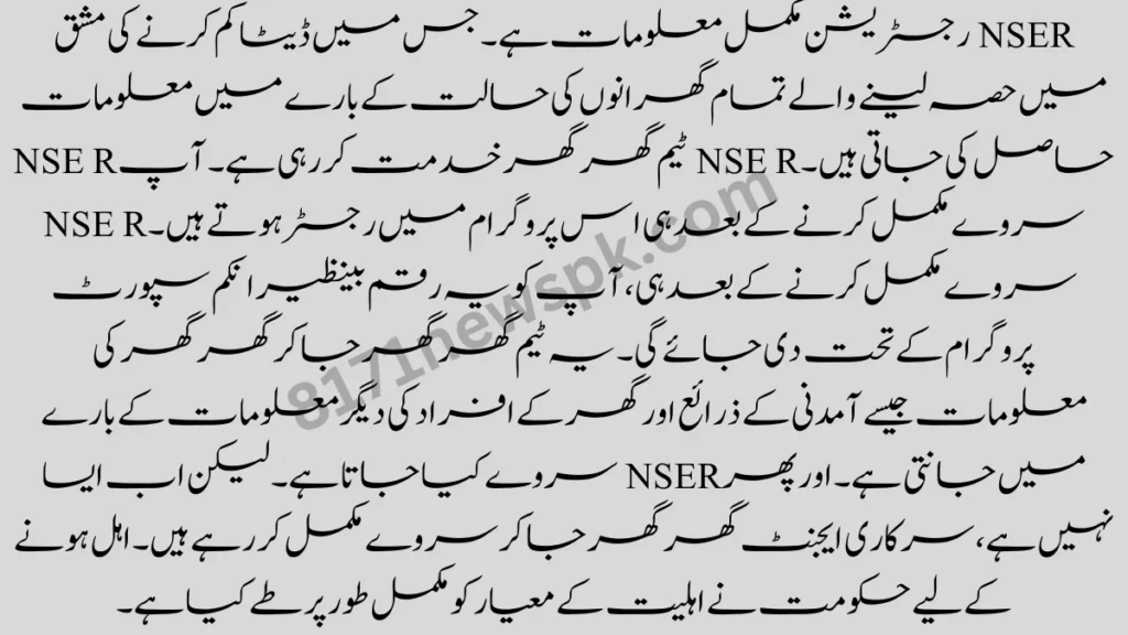2008 میں پاکستان کے حالات بہت خراب تھے اور لوگ غربت کا شکار تھے۔ قدرتی آفات کی وجہ سے لوگوں کے لیے روزگار کا حصول بہت مشکل ہو گیا