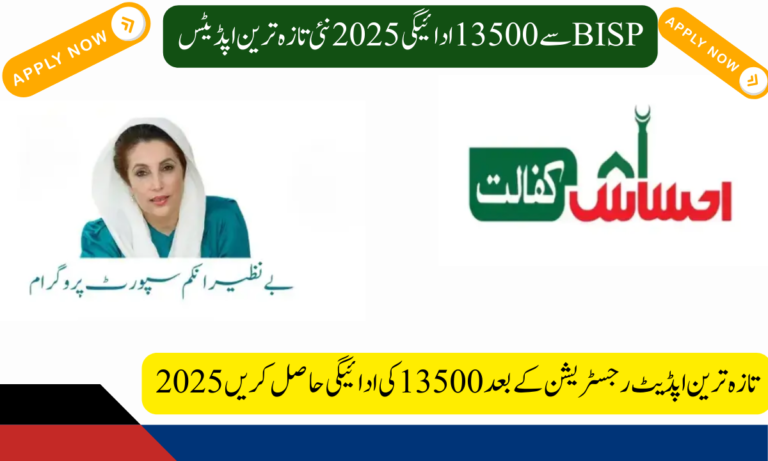 2025 کی تازہ ترین اپڈیٹ رجسٹریشن کے بعد 13500 کی ادائیگی حاصل کریں