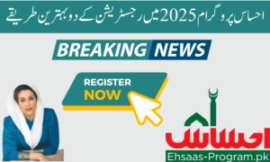 Two Best Methods for Registration in the Ehsaas Program 2025