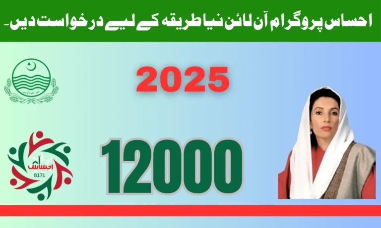 12000 آن لائن اپلائی 2025 پاکستان کا سب سے مقبول پروگرام ہے جو غریب مستحق اور معذور افراد کے لیے بنایا گیا ہے۔