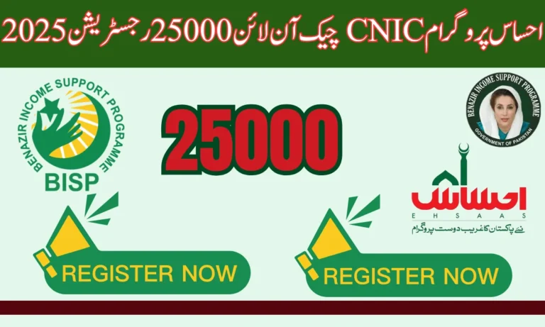 احساس پروگرام میں اب تک احساس پروگرام میں اپنے آپ کو رجسٹر کرنے والے خاندان کے افراد کو دو ہزار روپے جاری کیے گئے ہیں۔