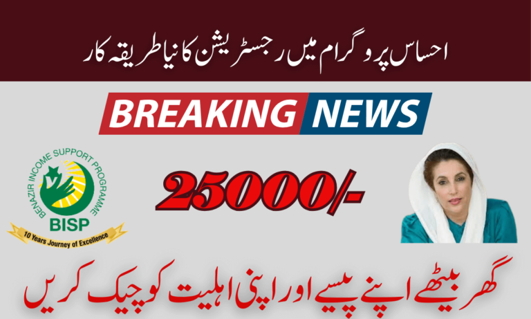Ehsaas Program 25000 Online Registration  Update