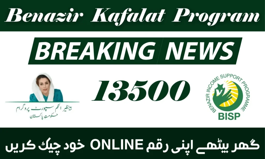 بے نظیر کفالت پروگرام نئے طریقہ 2025 کے ساتھ CNIC چیک کریں۔