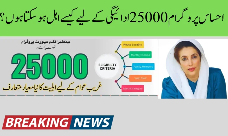 250000 ehsaas program