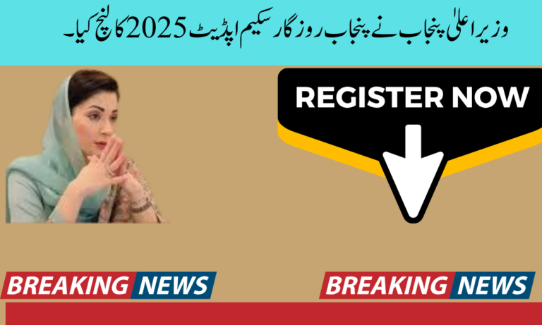 وزیراعلیٰ پنجاب نے پنجاب روزگار سکیم اپڈیٹ 2025 کا لنچ کیا۔