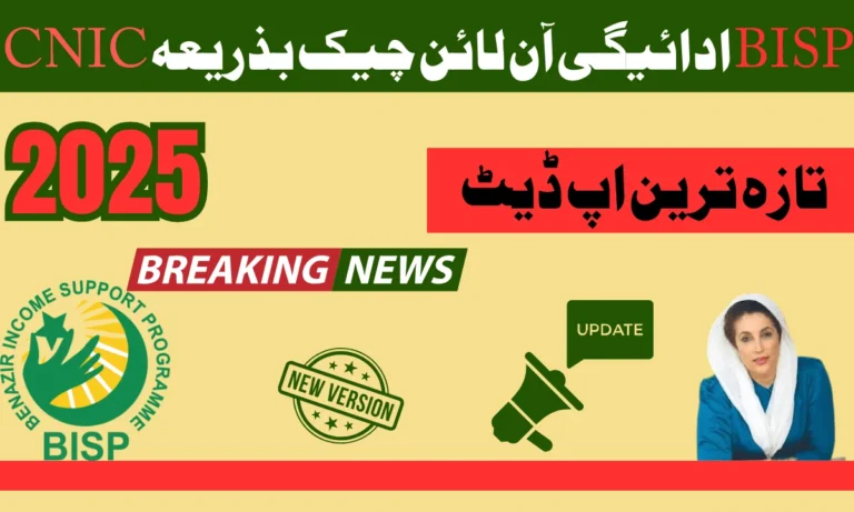 بے نظیر انکم سپورٹ پروگرام کی طرف سے ان لائن جاری کردہ مالی امداد کی جانچ پڑتال کا طریقہ کار مضمون میں بیان کیا جاتا ہے. کہ اپ کو بتایا گیا ہے کہ اپ اپنے پیسے لینے جانے سے پہلے ان لائن چیک کر سکتے ہیں