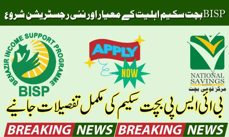 بے نظیر انکم سپورٹ پروگرام کے تحت BISP بچت سکیم شروع کی جا رہی ہے۔ جس کا مقصد بینظیر انکم سپورٹ پروگرام میں شامل ہونے والوں اور غیر رسمی کارکنوں کو ایک نئے عمل کے ذریعے مالی امداد فراہم کرنا ہے۔