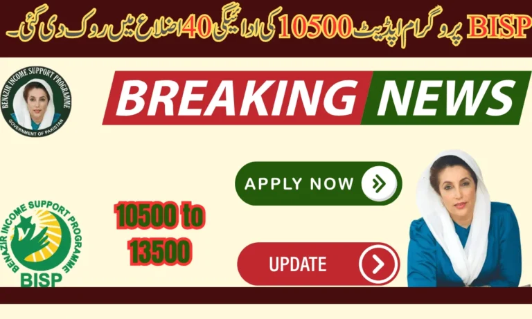 بے نظیر کفالت پروگرام کی ادائیگی کی رقم چیک کرنے کا طریقہ کار بہت آسان ہے۔ ادائیگی جمع کرنے سے پہلے، چیک کریں