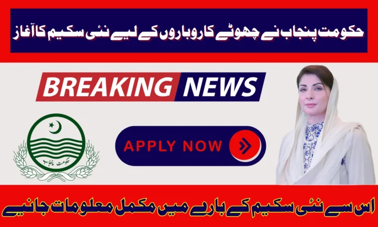 پنجاب حکومت نے ایزی بزنس سکیم کا آغاز کر دیا ہے۔ یہ ایک اہم اقدام ہے۔ جس کا مقصد صوبے میں چھوٹے اور درمیانے درجے کے کاروباری اداروں کو مالی امداد فراہم کرنا ہے