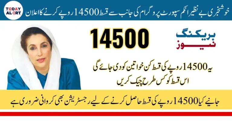 BISP 14500 May 2025 Payment Status by ID Card