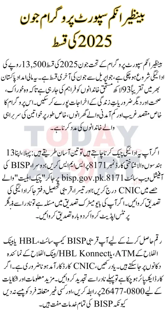 BISP June 2025 Payment Check By ID Card Step by Step Guide