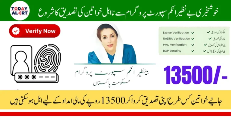 BISP 8171 Payment Reverification May 2025 For Ineligible Women