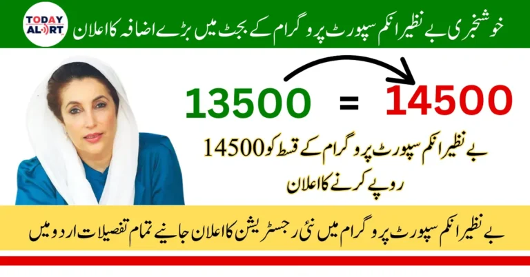 BISP Budget Increased by 20% for 2026: Quarterly Payment May Rise to Rs. 14,500