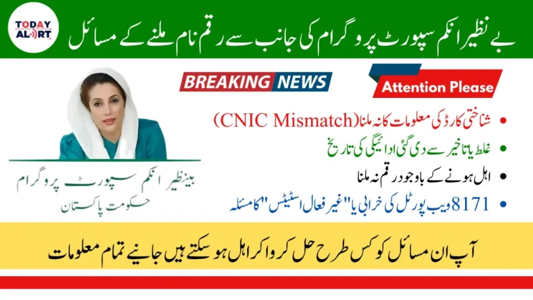 8171 BISP Payment Issues June 2025 and How resolve