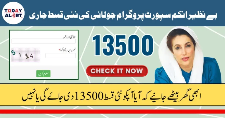BISP 8171 July 2025 Eligibility Check using ID Card through 8171