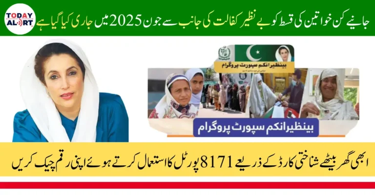 BISP 8171 Portal Eligibility Check June 2025 Via ID Card
