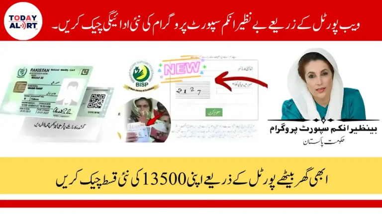 8171 Web Portal July 2025 To Check BISP 13500 New Payment