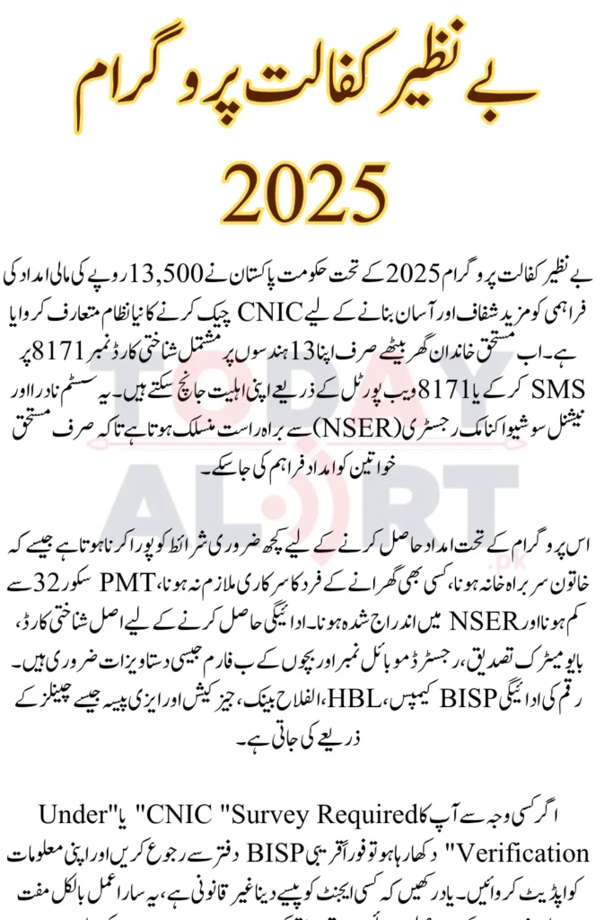 Benazir Kafalat Program Check CNIC 2025 For 13500 Payment New Method