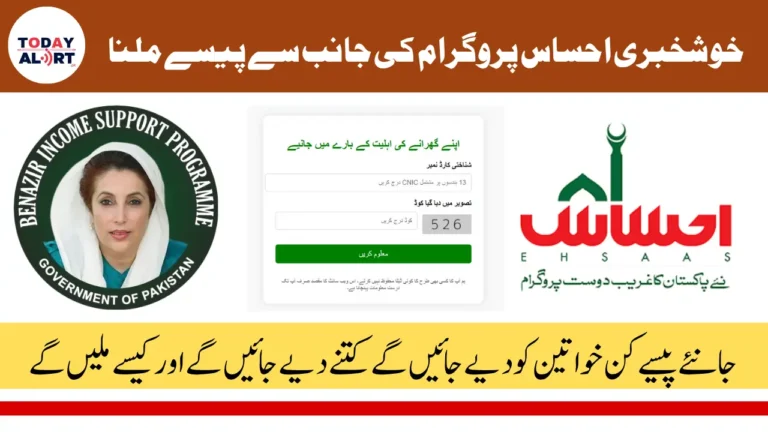 Ehsaas 8171 Program Online Apply Check by 8171 Web Portal