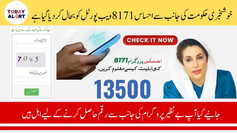 Ehsaas 8171 Web Portal July 2025 Payment and Registration Status