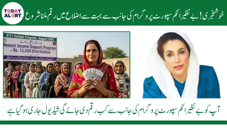 BISP 8171 Payment August 2025 Districts List and District Wise Schedule