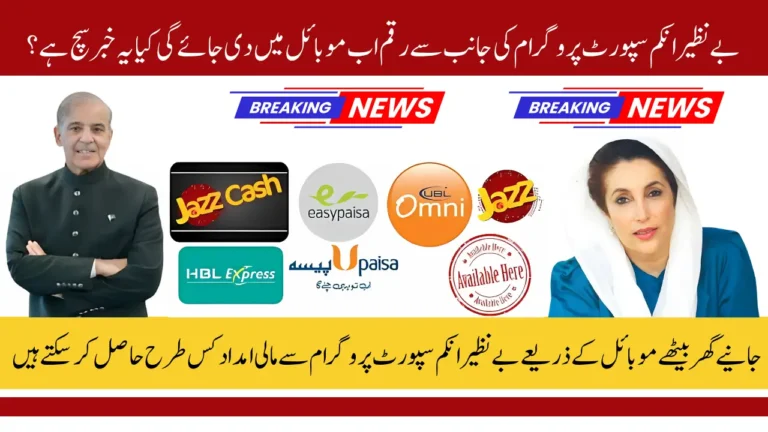 BISP Digital Wallet 2025 Registration Process and Required Documents