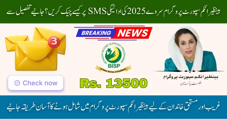 BISP Survey 2025 Beneficiary Payment Check Online By SMS and Helpline