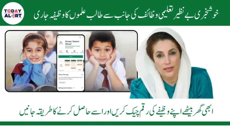 Benazir Taleemi Wazaif August 2025 Payment Check Online and How To Receive