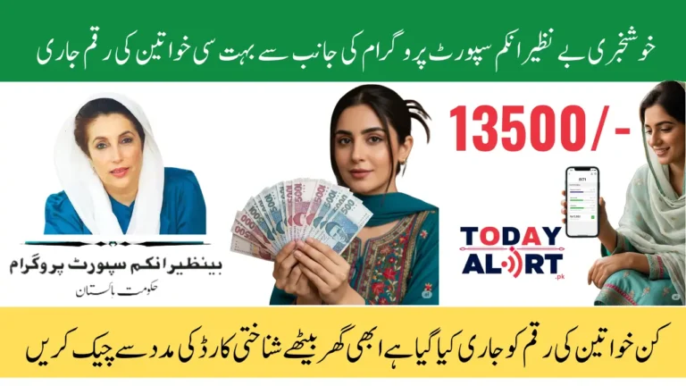 BISP 8171 Result Check Online by CNIC Via Web Portal