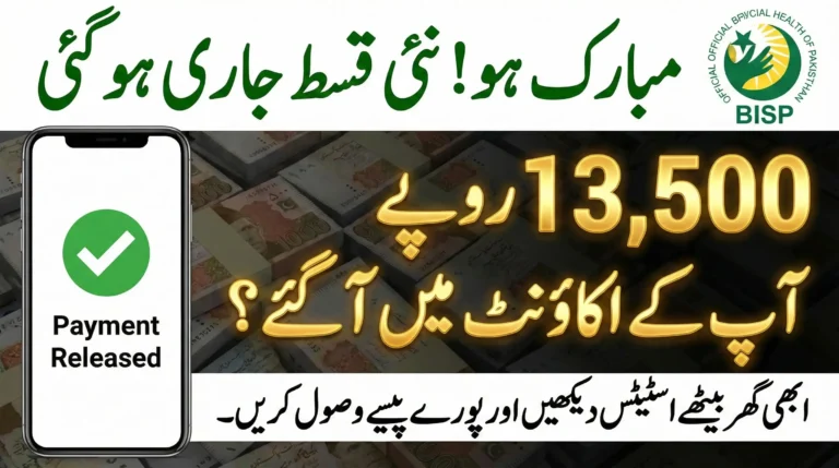 Payment Blocked or Released? The New Way to Verify BISP Status in Seconds