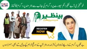 Benazir Hunarmand Program Online Registration Step by Step Guide